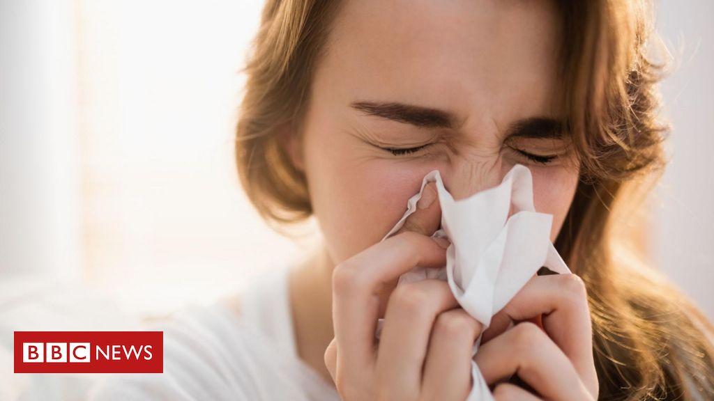 Descoberta de parte desconhecida do sistema imunológico abre portas para novos antibióticos