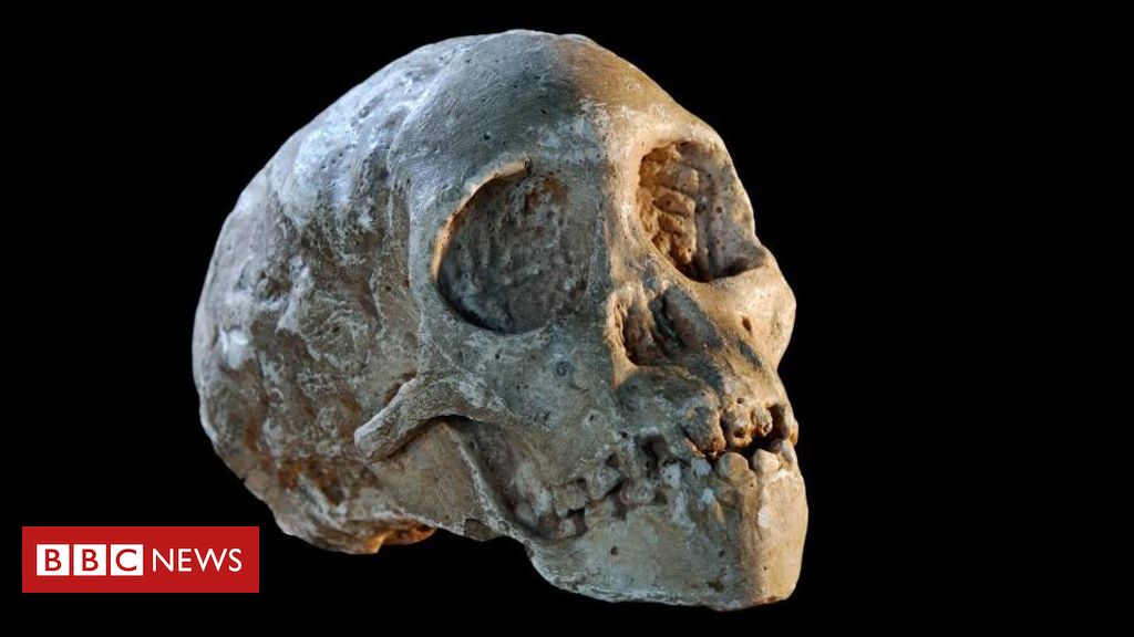 O menino de Taung, o fóssil que mudou a história ao provar que os humanos se originaram na África