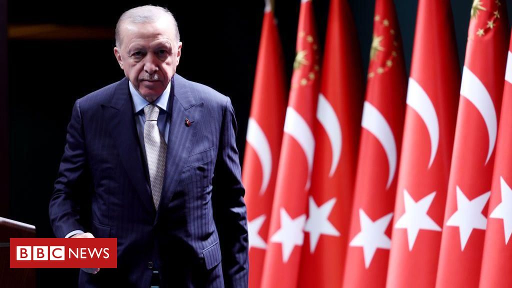 Turquia: 'Erdogan tenta transformar país em autocracia ao estilo russo'