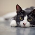 adobestock-160634430.jpeg